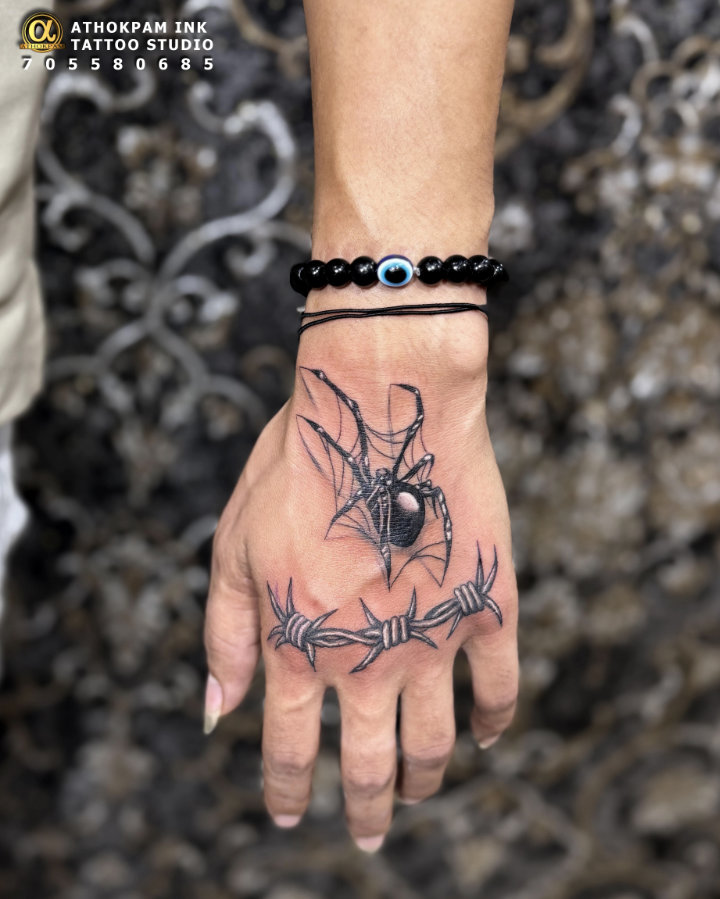 Spider & Web